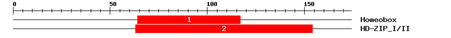 Signature Domain