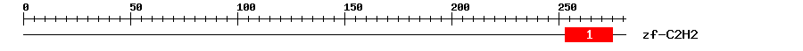 Signature Domain