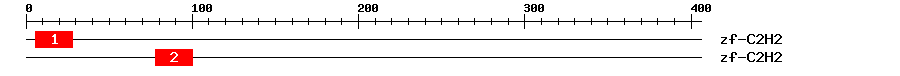 Signature Domain