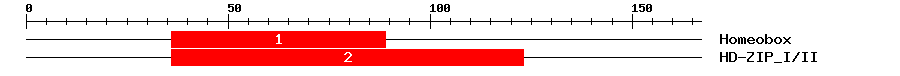 Signature Domain