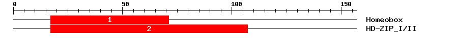 Signature Domain
