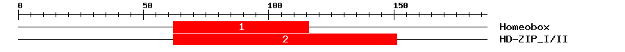 Signature Domain