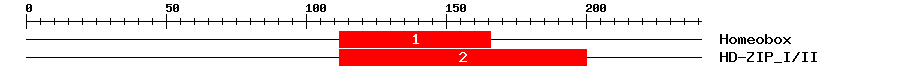 Signature Domain