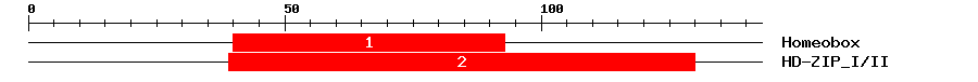 Signature Domain