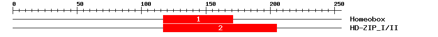 Signature Domain