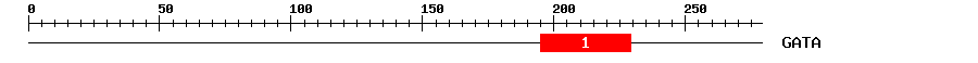 Signature Domain