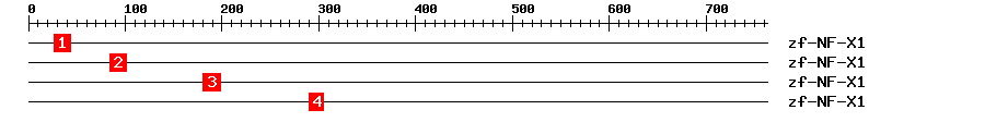 Signature Domain