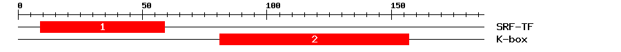 Signature Domain