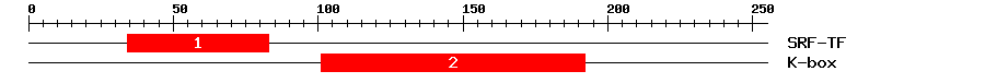 Signature Domain