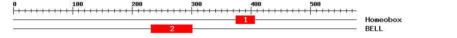 Signature Domain
