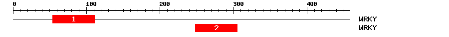 Signature Domain
