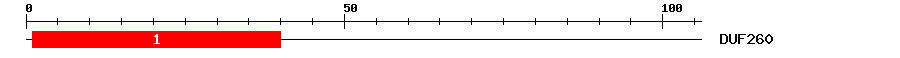 Signature Domain