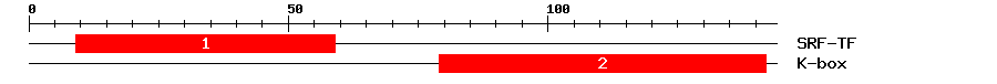 Signature Domain