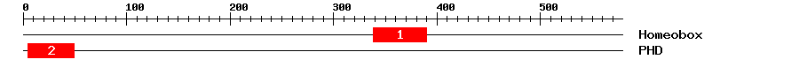 Signature Domain