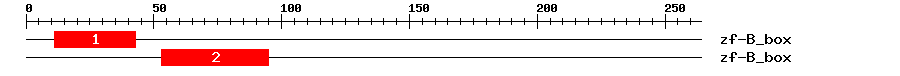 Signature Domain