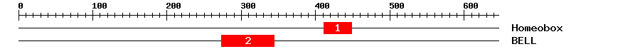 Signature Domain