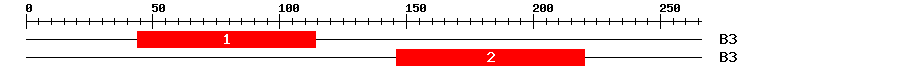 Signature Domain