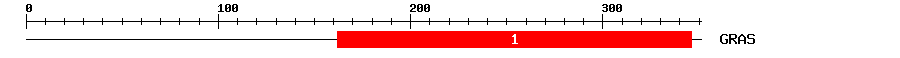 Signature Domain