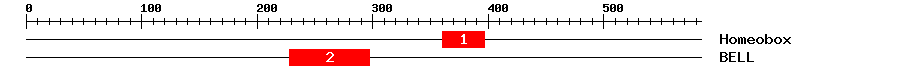 Signature Domain