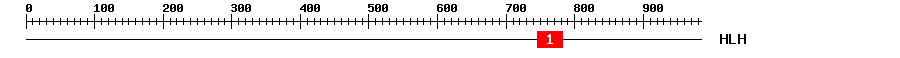 Signature Domain