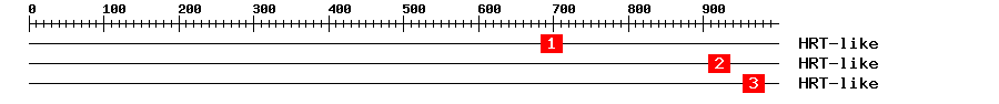 Signature Domain