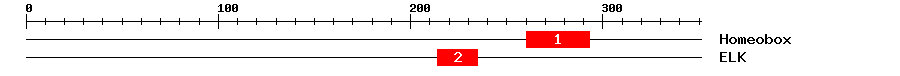 Signature Domain
