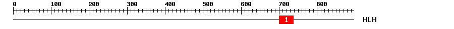 Signature Domain