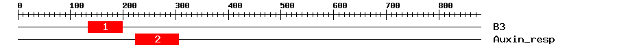 Signature Domain