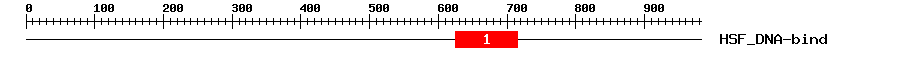 Signature Domain