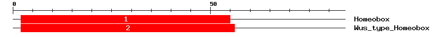Signature Domain