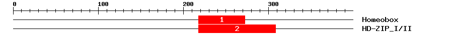 Signature Domain