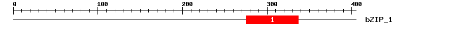 Signature Domain