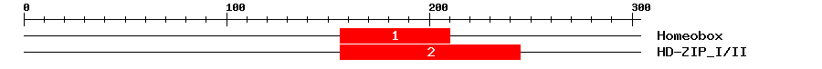 Signature Domain