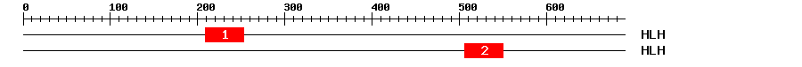 Signature Domain