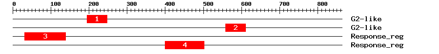 Signature Domain