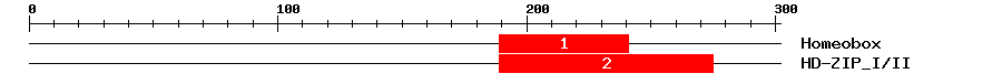 Signature Domain