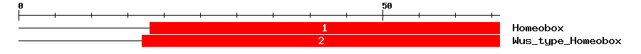 Signature Domain