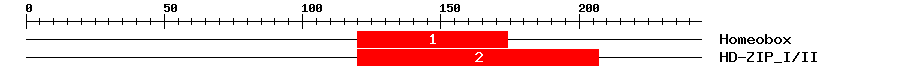 Signature Domain