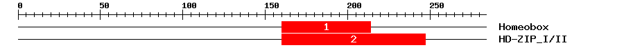 Signature Domain