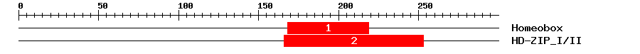 Signature Domain