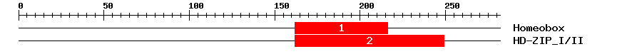 Signature Domain