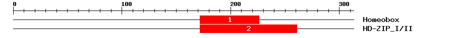Signature Domain