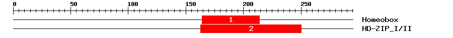 Signature Domain
