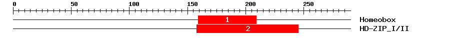 Signature Domain