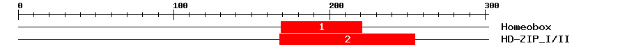 Signature Domain
