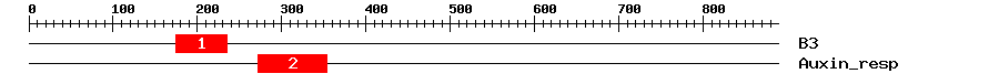 Signature Domain