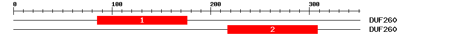 Signature Domain