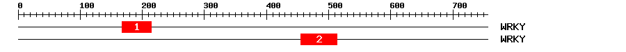 Signature Domain