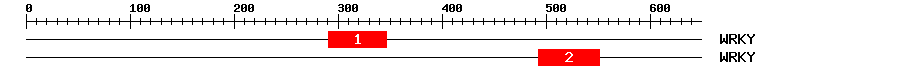 Signature Domain