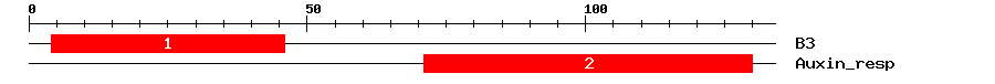 Signature Domain